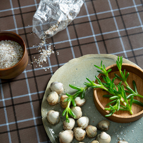 Check Pecan Brown – Lola voksdug med varme tern